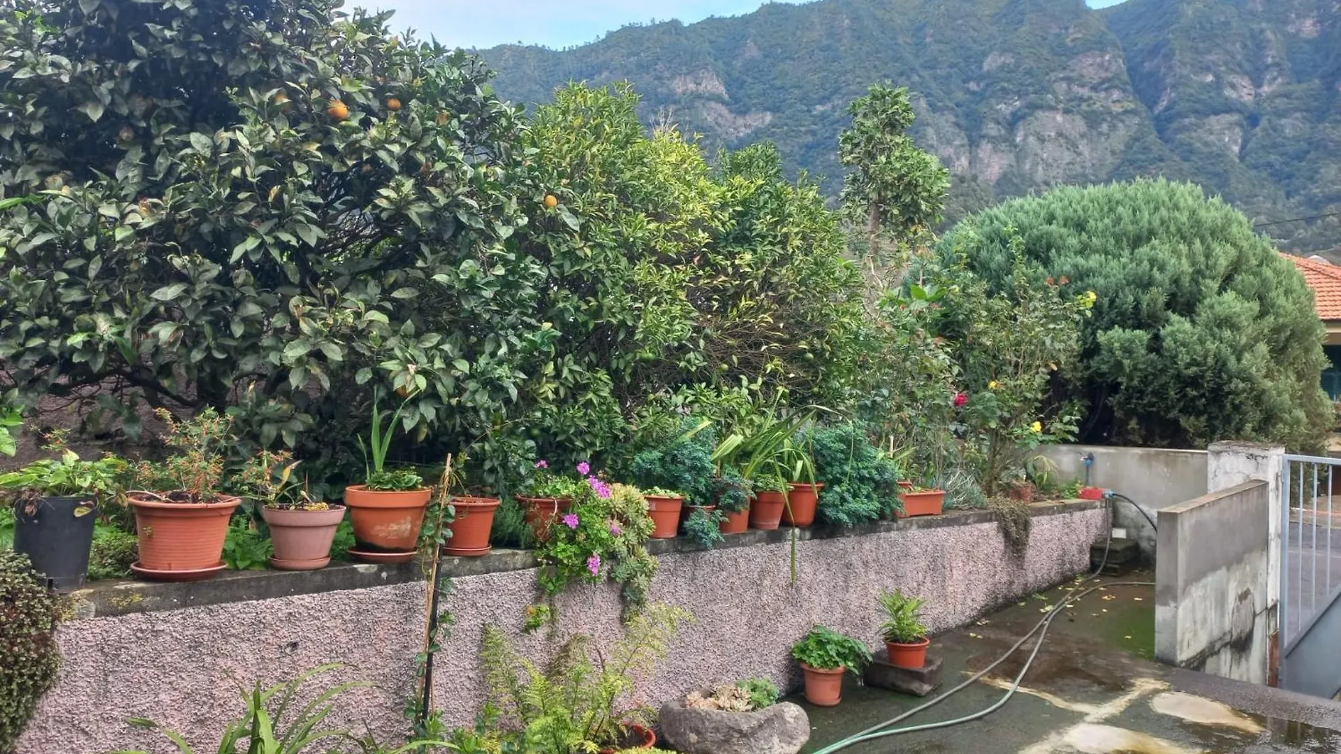 Villa Casa Martins São Vicente Сasa de vacaciones
